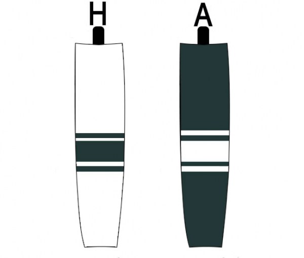 michigan-state-spartans2-mesh