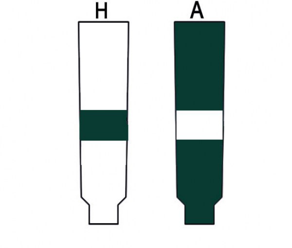 michigan-state-spartans_2