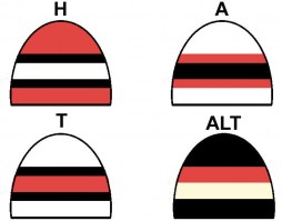 ottawa-senators-toques2