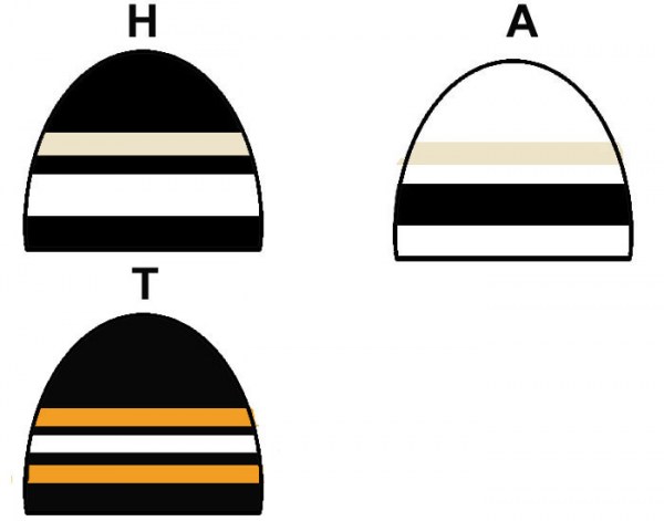 pittsburgh-penguins-toques2